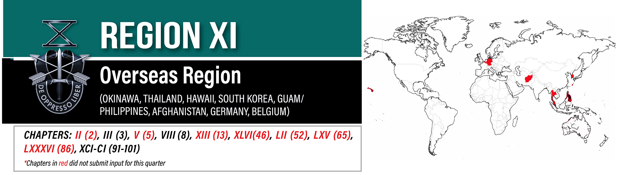 Region XI banner