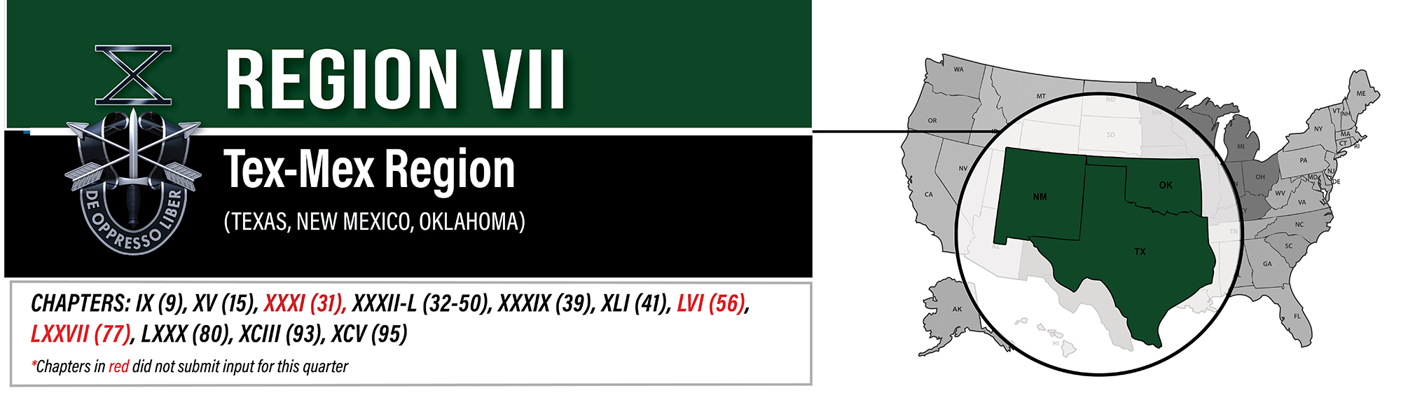 Region VII banner